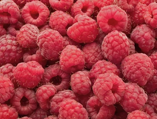 Respberries