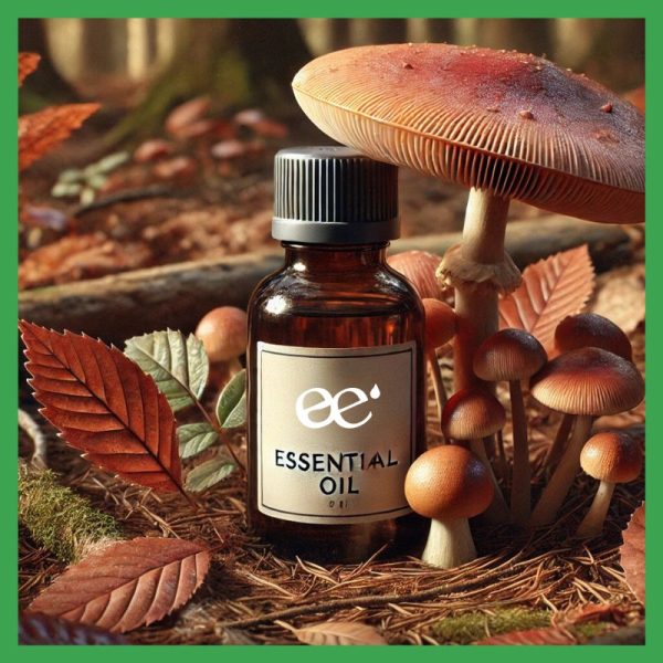 Arômes et composés essentiels du 3-Octanol : Naturels et typés