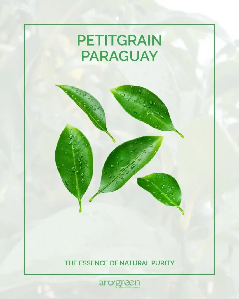 PETITGRAIN PARAGUAY