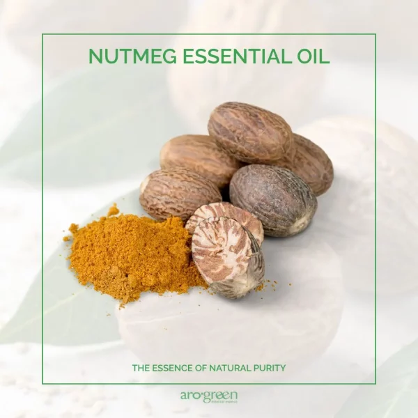 The aromatic character of Nutmeg essential oil